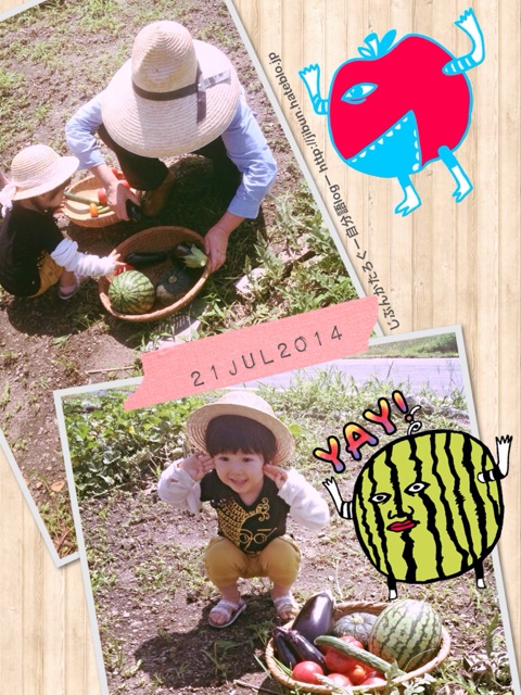 f:id:ocasira:20140724001254j:plain f:id:ocasira:20140724001254j:plain