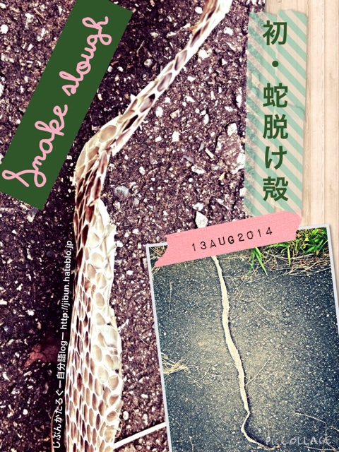f:id:ocasira:20140813173208j:plain f:id:ocasira:20140813173208j:plain