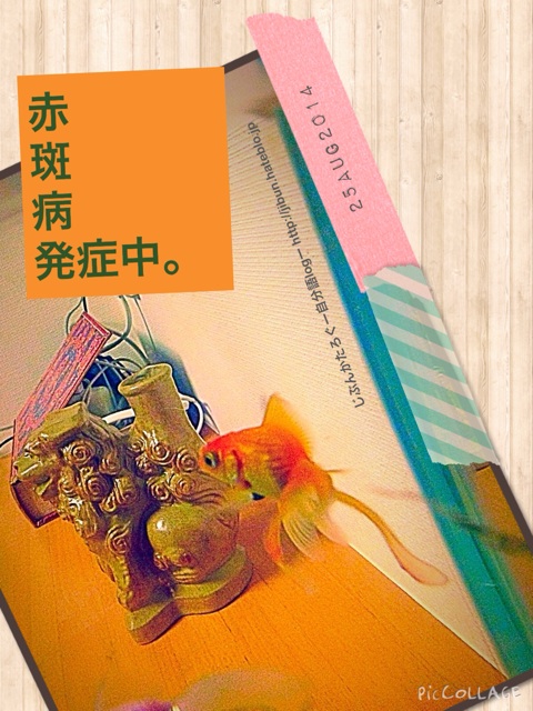 f:id:ocasira:20140826000822j:plain f:id:ocasira:20140826000822j:plain