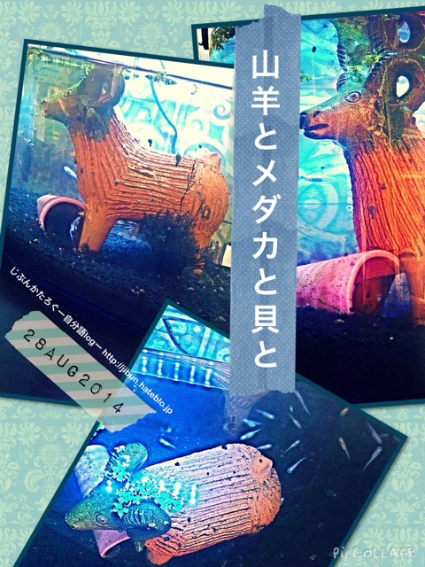f:id:ocasira:20140829221238j:plain f:id:ocasira:20140829221238j:plain