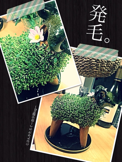 f:id:ocasira:20140829221324j:plain f:id:ocasira:20140829221324j:plain
