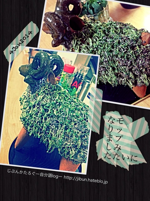 f:id:ocasira:20140829221728j:plain f:id:ocasira:20140829221728j:plain