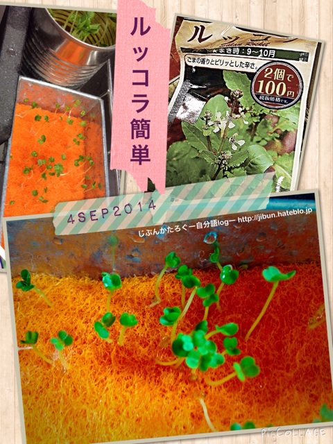 f:id:ocasira:20140905230945j:plain f:id:ocasira:20140905230945j:plain