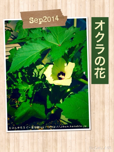 f:id:ocasira:20140914005009j:plain f:id:ocasira:20140914005009j:plain