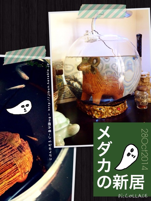 f:id:ocasira:20141029152203j:plain f:id:ocasira:20141029152203j:plain