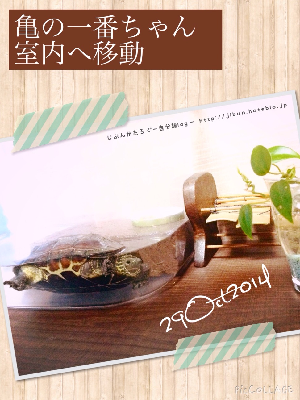 f:id:ocasira:20141030174028j:plain f:id:ocasira:20141030174028j:plain