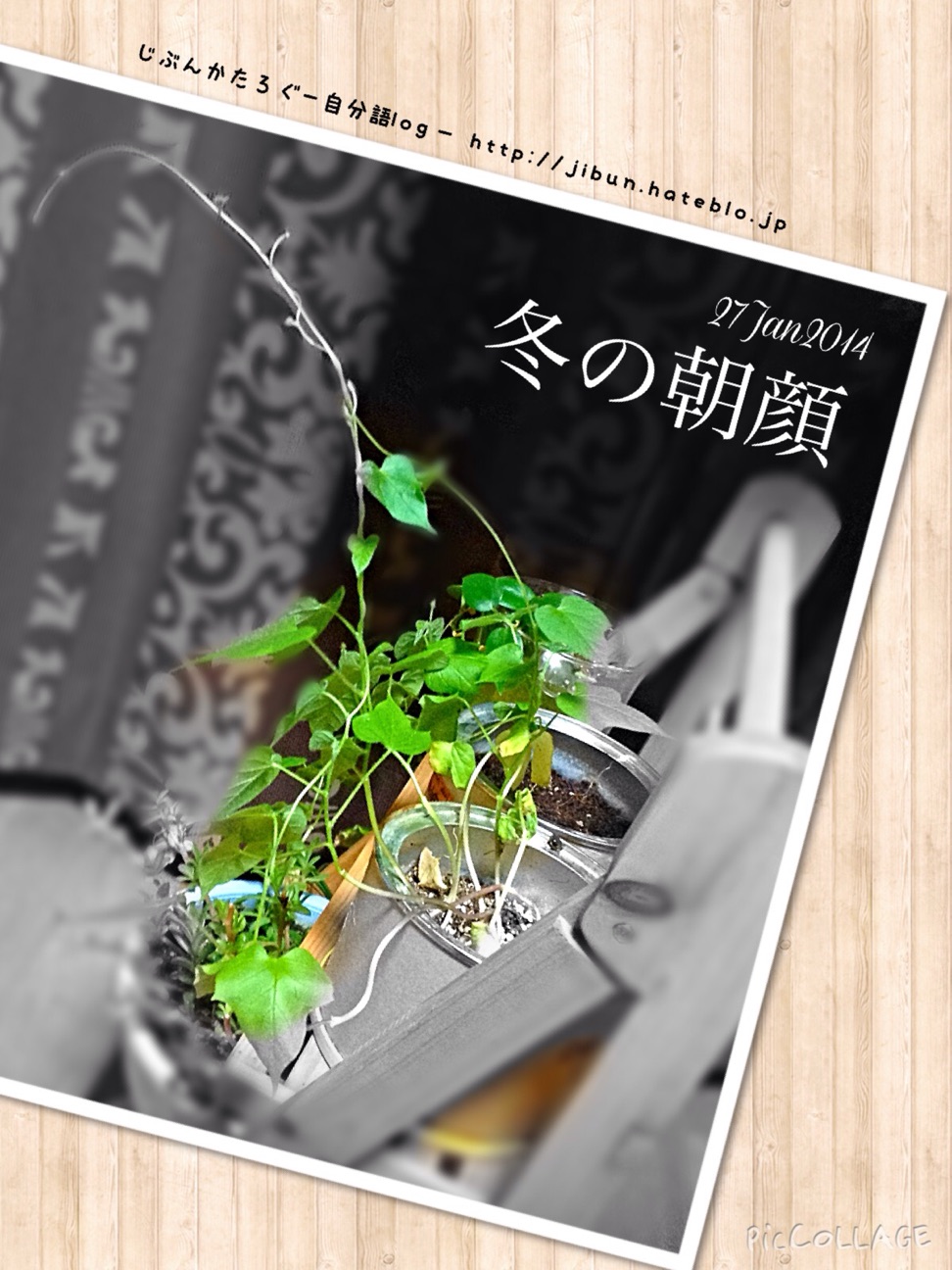 f:id:ocasira:20150127230411j:plain f:id:ocasira:20150127230411j:plain