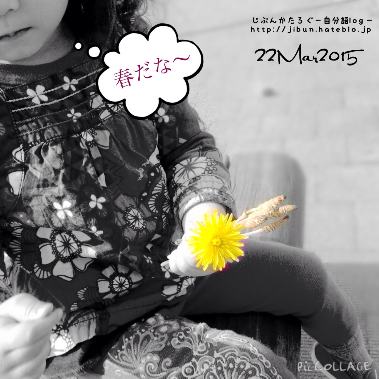 f:id:ocasira:20150322224117j:plain f:id:ocasira:20150322224117j:plain