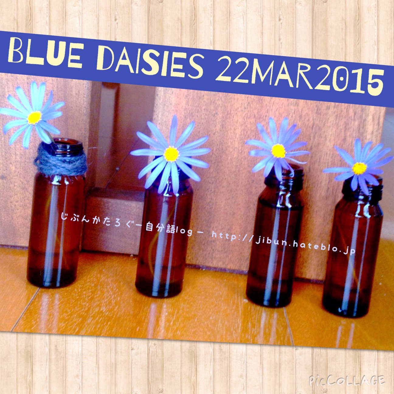 f:id:ocasira:20150322225332j:plain f:id:ocasira:20150322225332j:plain