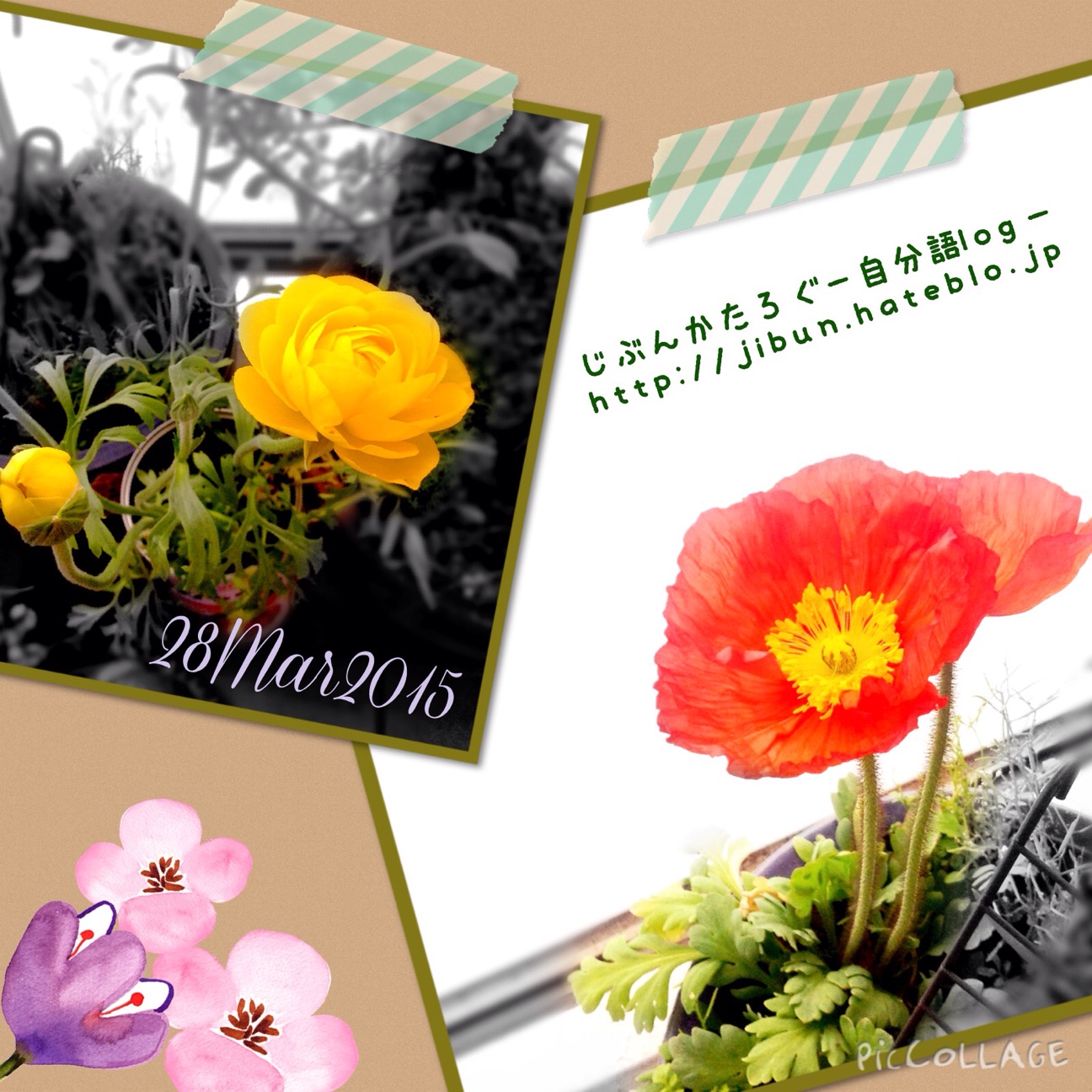 f:id:ocasira:20150328125705j:plain f:id:ocasira:20150328125705j:plain
