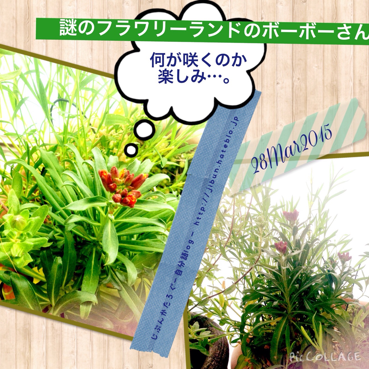 f:id:ocasira:20150405232939j:plain f:id:ocasira:20150405232939j:plain