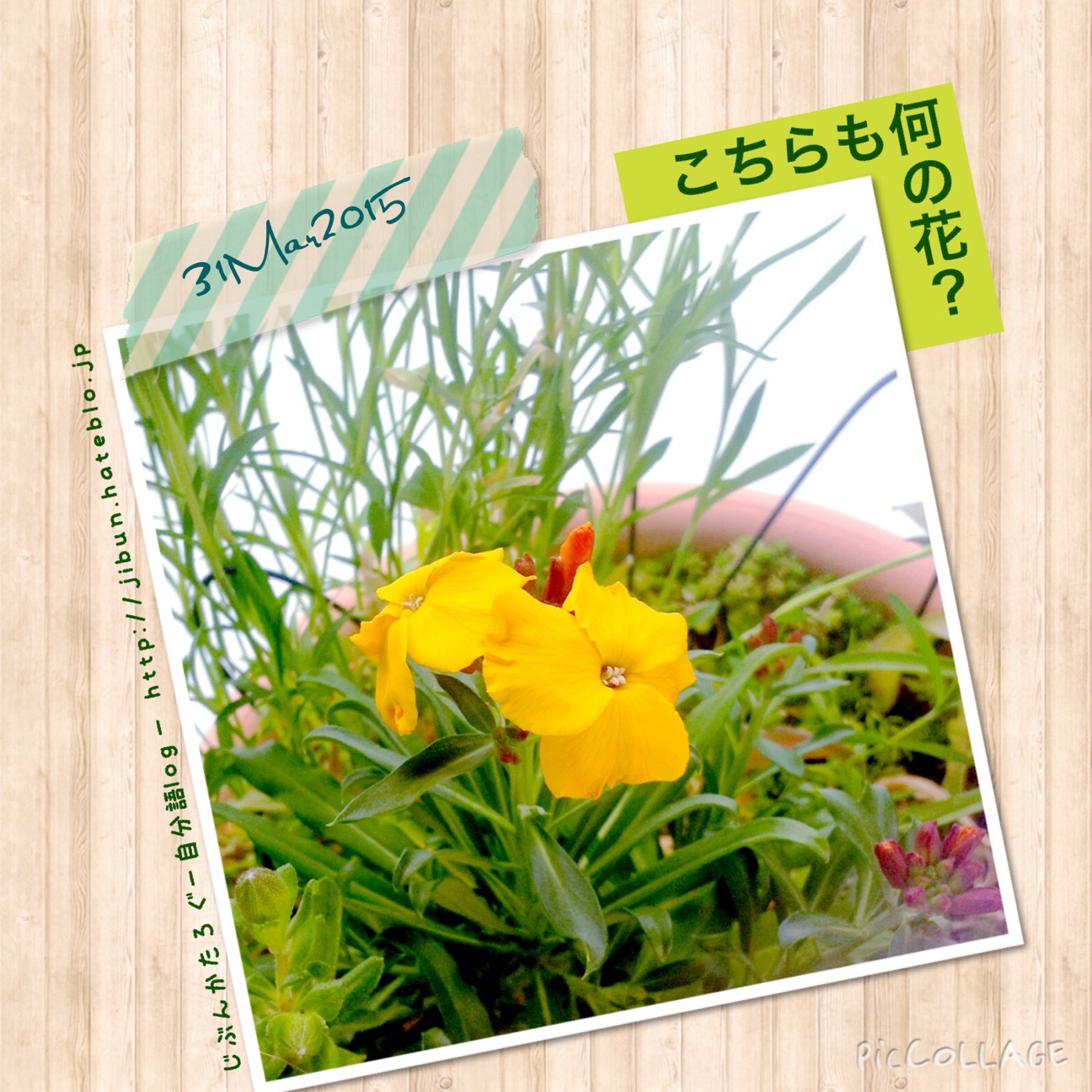 f:id:ocasira:20150405233005j:plain f:id:ocasira:20150405233005j:plain