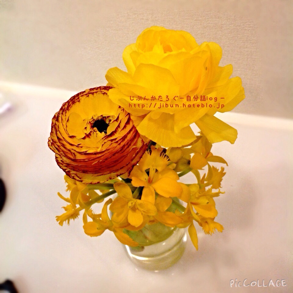 f:id:ocasira:20150405233104j:plain f:id:ocasira:20150405233104j:plain