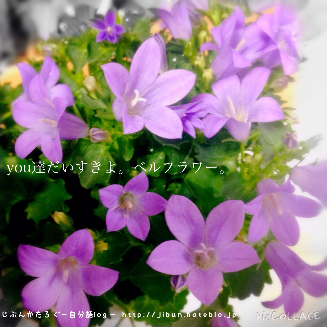 f:id:ocasira:20150405233120j:plain f:id:ocasira:20150405233120j:plain
