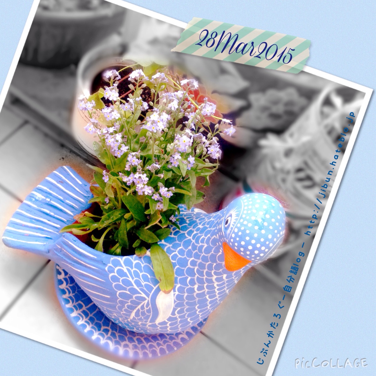 f:id:ocasira:20150405233204j:plain f:id:ocasira:20150405233204j:plain