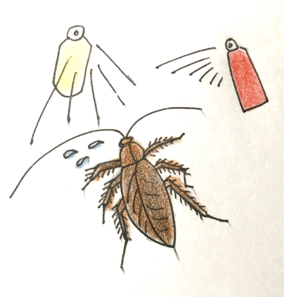 f:id:occultOL:20150728222610j:image f:id:occultOL:20150728222610j:image
