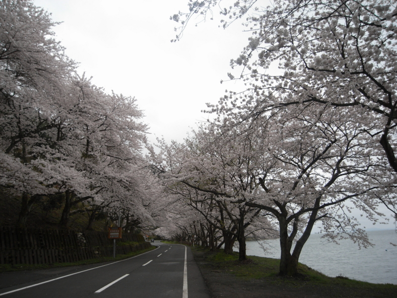 f:id:ocean46:20150407063826j:plain
