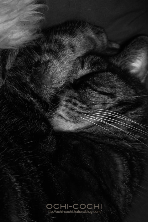 f:id:ochi_cochi:20160112182445j:plain