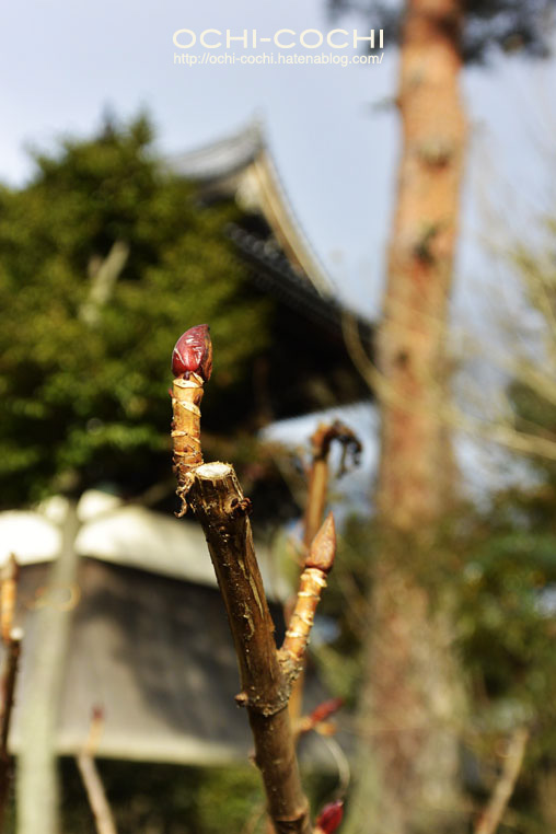 f:id:ochi_cochi:20160216081753j:plain