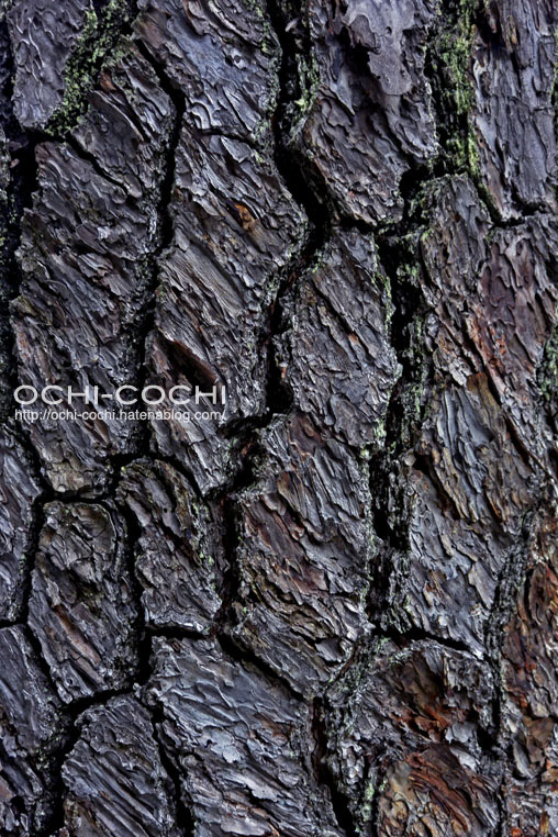 f:id:ochi_cochi:20160216082919j:plain