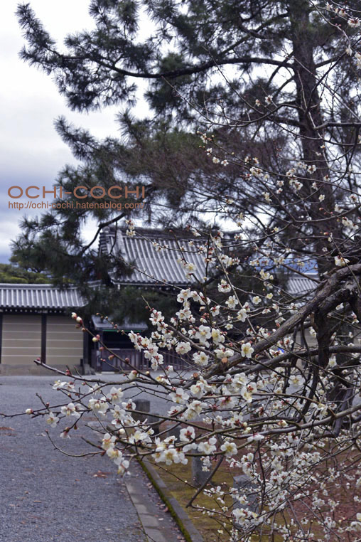 f:id:ochi_cochi:20160216083205j:plain