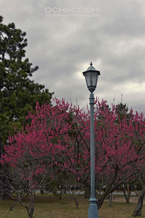 f:id:ochi_cochi:20160216083312j:plain