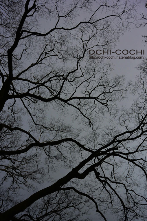 f:id:ochi_cochi:20160216083400j:plain