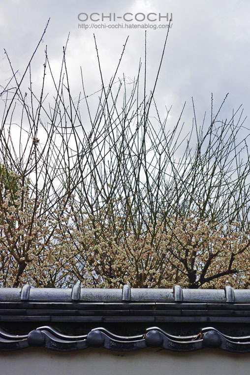 f:id:ochi_cochi:20160216112807j:plain