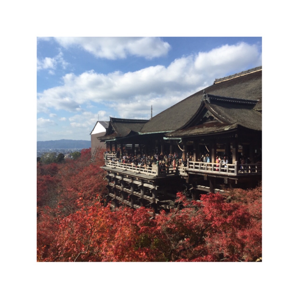 f:id:odangooishii:20151209082102j:image f:id:odangooishii:20151209082102j:image