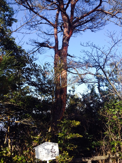 f:id:odayakabiyori:20150309074310j:plain f:id:odayakabiyori:20150309074310j:plain