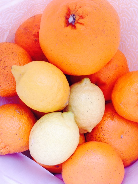 f:id:odayakabiyori:20150320131603j:plain f:id:odayakabiyori:20150320131603j:plain