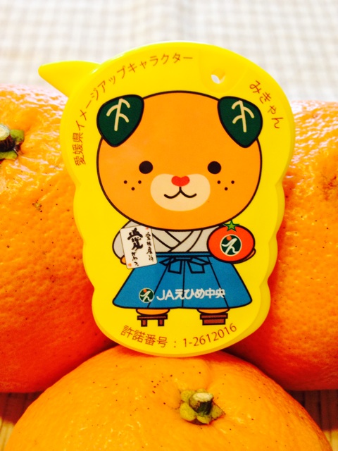 f:id:odayakabiyori:20150326082550j:plain f:id:odayakabiyori:20150326082550j:plain