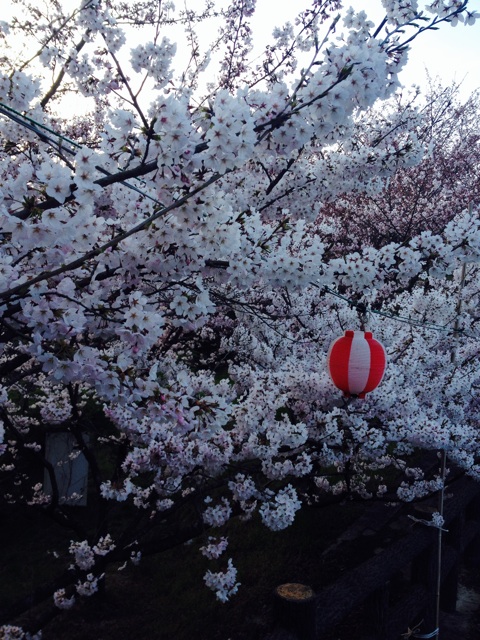 f:id:odayakabiyori:20150331074643j:plain f:id:odayakabiyori:20150331074643j:plain