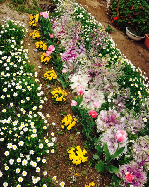 f:id:odayakabiyori:20150402143121j:plain f:id:odayakabiyori:20150402143121j:plain