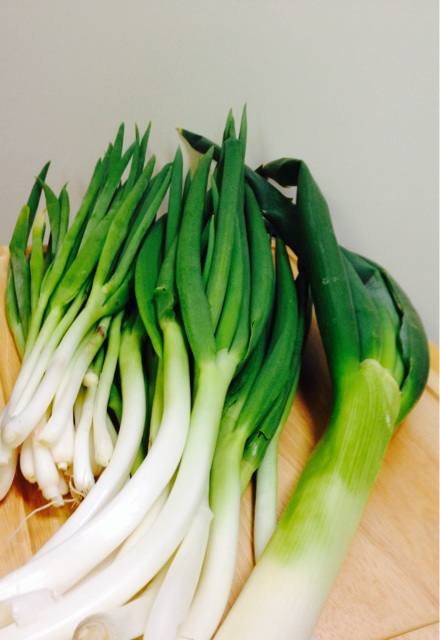 f:id:odayakabiyori:20150410091927j:plain f:id:odayakabiyori:20150410091927j:plain