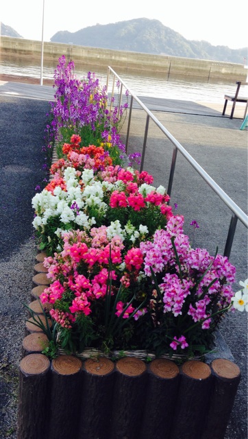 f:id:odayakabiyori:20150417213127j:plain f:id:odayakabiyori:20150417213127j:plain