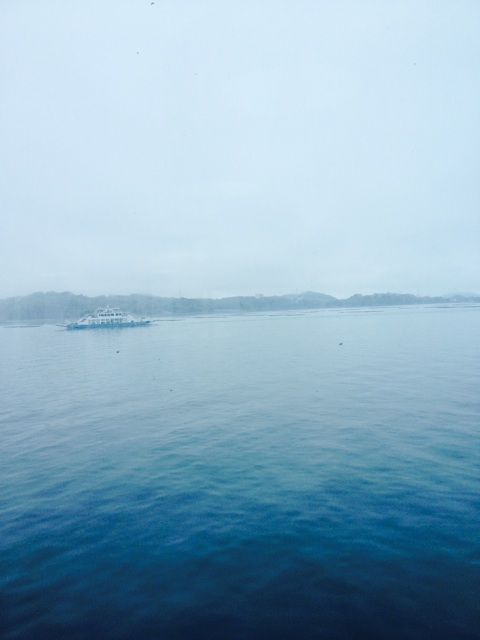 f:id:odayakabiyori:20150421135851j:plain f:id:odayakabiyori:20150421135851j:plain
