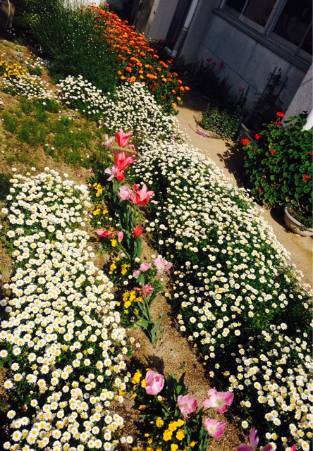 f:id:odayakabiyori:20150423150408j:plain f:id:odayakabiyori:20150423150408j:plain