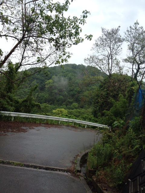 f:id:odayakabiyori:20150509212253j:plain f:id:odayakabiyori:20150509212253j:plain