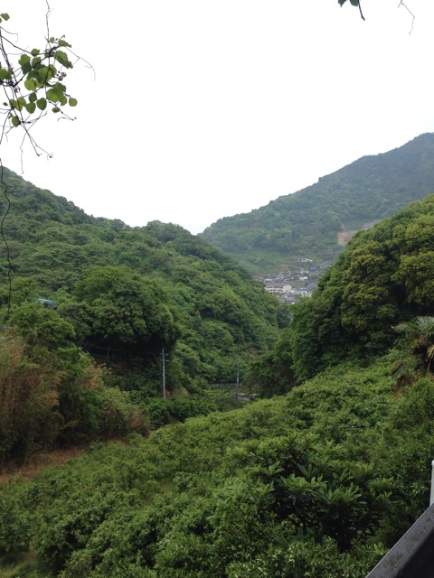 f:id:odayakabiyori:20150509213718j:plain f:id:odayakabiyori:20150509213718j:plain