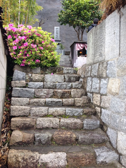 f:id:odayakabiyori:20150510223342j:plain f:id:odayakabiyori:20150510223342j:plain