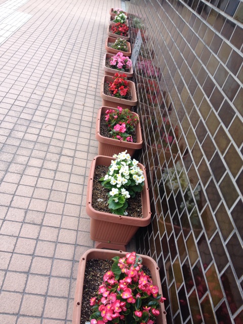f:id:odayakabiyori:20150514132944j:plain f:id:odayakabiyori:20150514132944j:plain