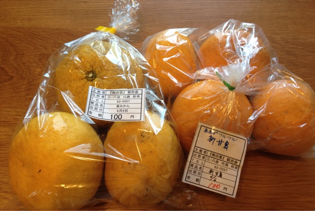 f:id:odayakabiyori:20150606105757j:plain f:id:odayakabiyori:20150606105757j:plain