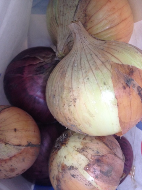 f:id:odayakabiyori:20150614094752j:plain f:id:odayakabiyori:20150614094752j:plain