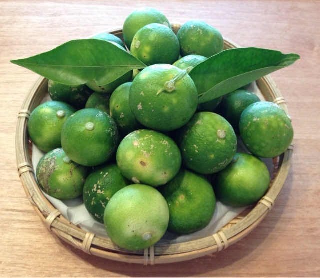f:id:odayakabiyori:20150919140728j:plain f:id:odayakabiyori:20150919140728j:plain