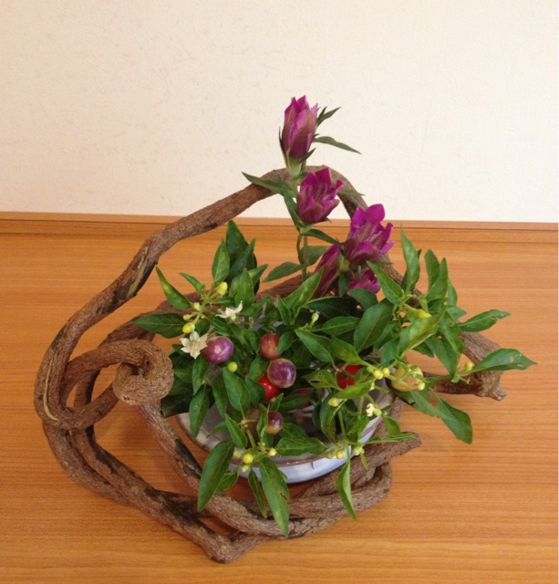 f:id:odayakabiyori:20150926185838j:plain f:id:odayakabiyori:20150926185838j:plain