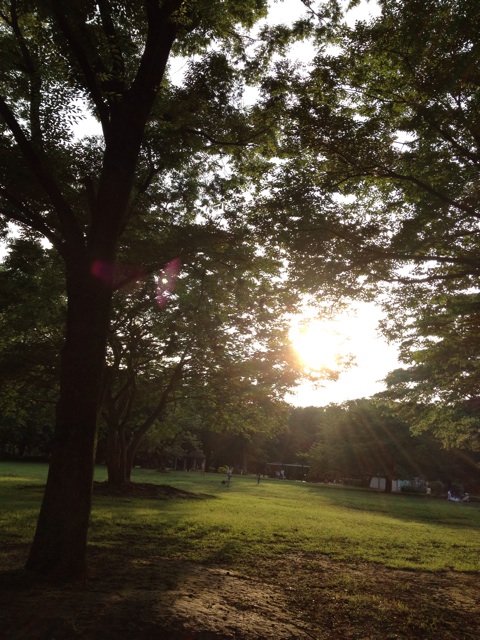 f:id:odayakabiyori:20151021135100j:plain f:id:odayakabiyori:20151021135100j:plain