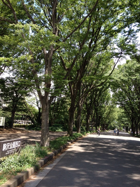 f:id:odayakabiyori:20151021145823j:plain f:id:odayakabiyori:20151021145823j:plain