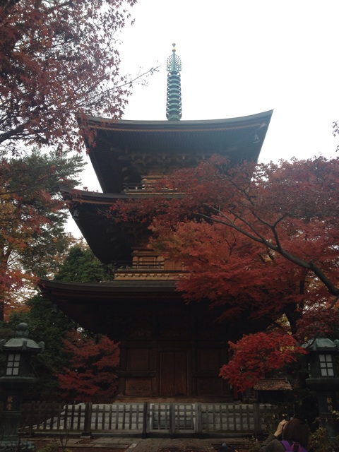 f:id:odayakabiyori:20151021210259j:plain f:id:odayakabiyori:20151021210259j:plain
