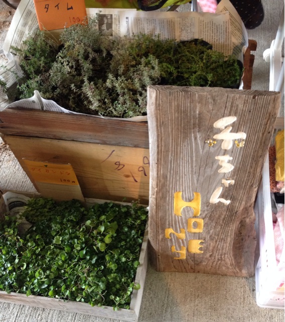 f:id:odayakabiyori:20151108195830j:plain f:id:odayakabiyori:20151108195830j:plain